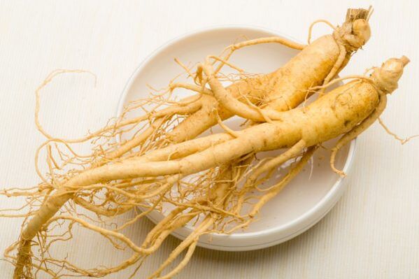 radice di ginseng per la potenza